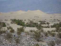 Mesquite Flat Sanddünen Death Valley